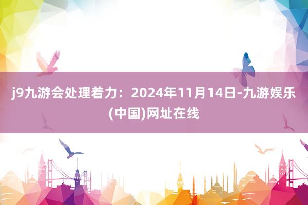 j9九游会处理着力：2024年11月14日-九游娱乐(中国)网址在线