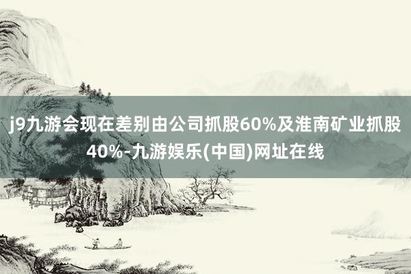 j9九游会现在差别由公司抓股60%及淮南矿业抓股40%-九游娱乐(中国)网址在线