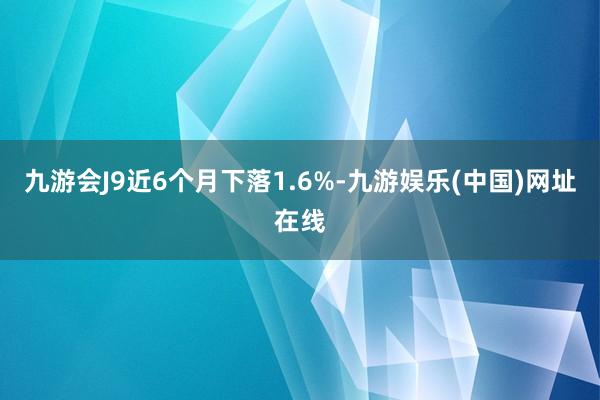 九游会J9近6个月下落1.6%-九游娱乐(中国)网址在线